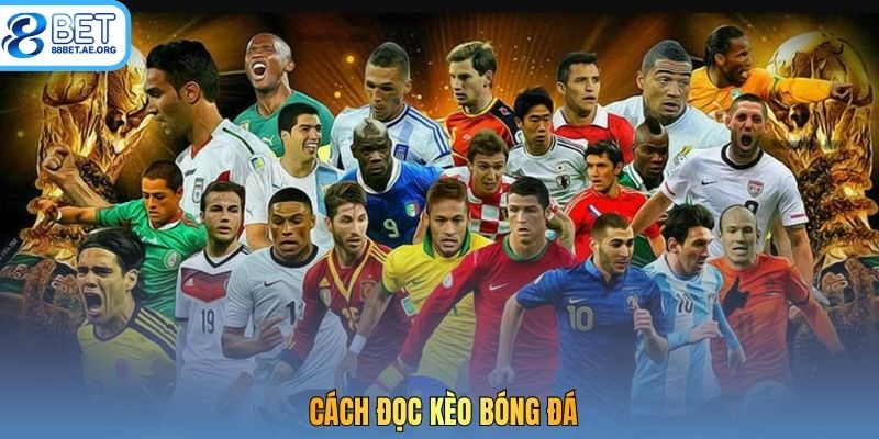 Cách đọc kèo bóng đá