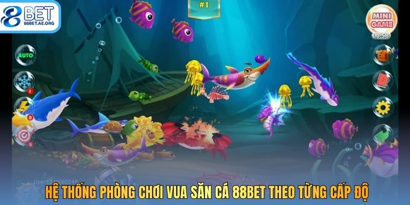 Hệ thống phòng chơi Vua Săn Cá 88bet theo từng cấp độ