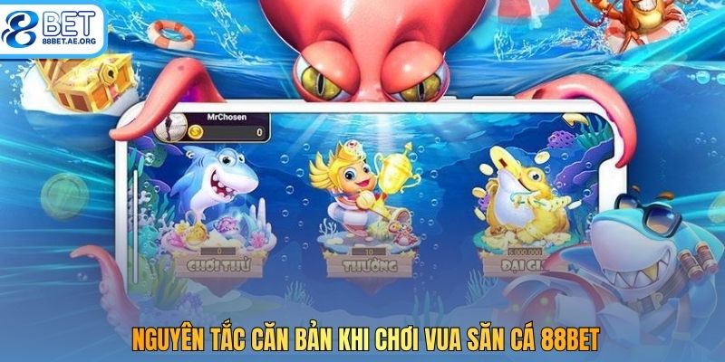 Nguyên tắc căn bản khi chơi Vua Săn Cá 88bet